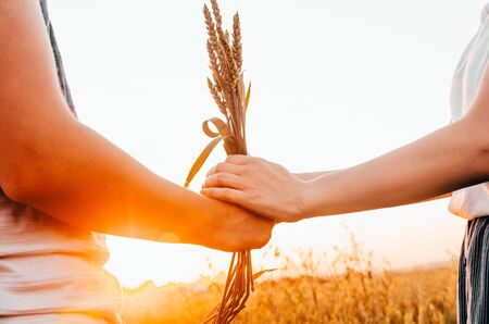 man giving wheat to a girl as flowersの写真素材