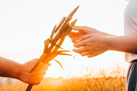 man giving wheat to a girl as flowersの写真素材