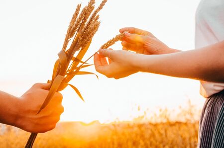 man giving wheat to a girl as flowersの写真素材