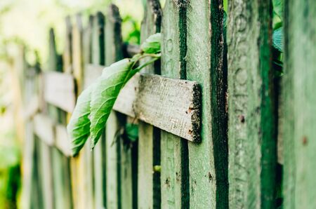 green fence with leaves coming through. little house in the country sideの写真素材
