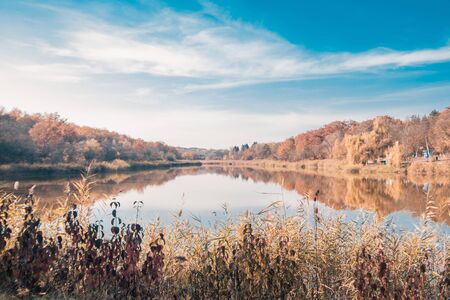 wide view on lake and autumn trees aroundの写真素材