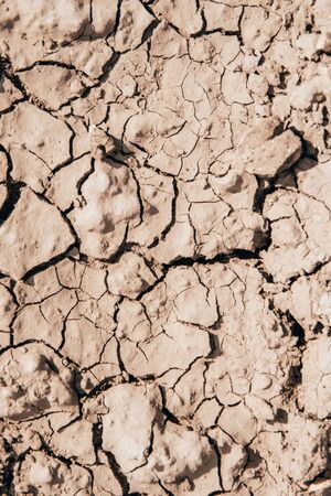texture background of cracked earth. droughtの写真素材