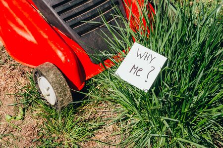 top view of electric lawn mower cutting a bush with a sign why me
