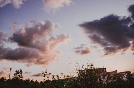 pink and grey sunset above the park. evening sky with cloudsの写真素材
