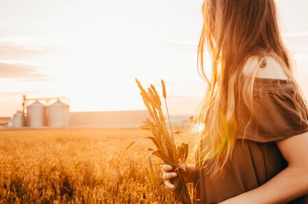 woman in dress stands in meadow with golden wheat in her hands during sunriseの写真素材