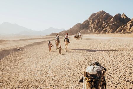Rear view of a men wearing traditional middle eastern clothes leading a camel in desert. tourist taking a ride on the camel.の写真素材
