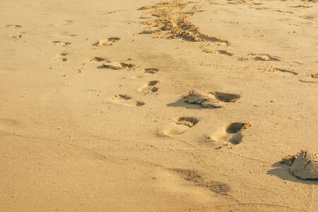 human foot prints on the sand beach with wave foamの写真素材