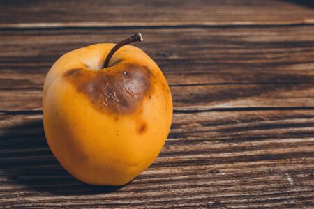 rotting yellow apple close up view. chemicals harm fruits and vegetables conceptの写真素材