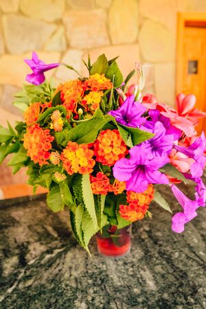 beautiful multicolor bouquet of exotic flowers from egyptの写真素材