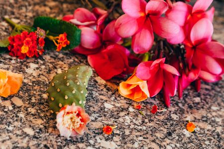 mix of different exotic flowers . setts for bouquets and perfumes .の写真素材
