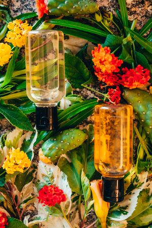 shower gel and body lotion in small tubes. travel bottle set mock up with tropic flowers and cactusの写真素材