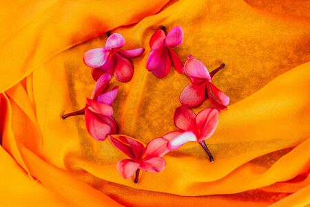 pink tropical flowers on orange background . moke up of circle garden stuff .の写真素材