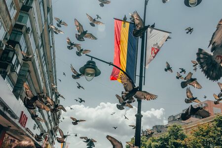 flock of doves take off in the center of a romanian city .  selective focusの写真素材