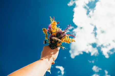 hand holding a bouquet of flowers from field with blue sky  on background. amazing nature concept .の写真素材