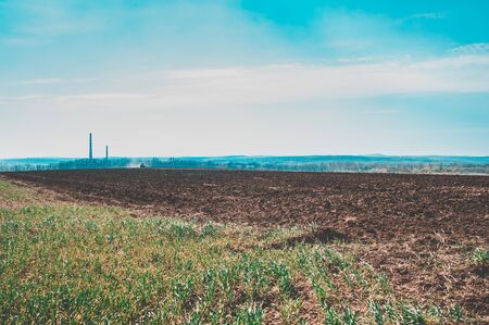 Tractor plows a field in the spring accompanied by rooks tractor . far view . time to plow concept . selective focus .の写真素材