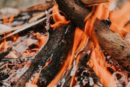 bonfire in the yard. people decided to collect branches in the yard and make a  fire in quarantine .