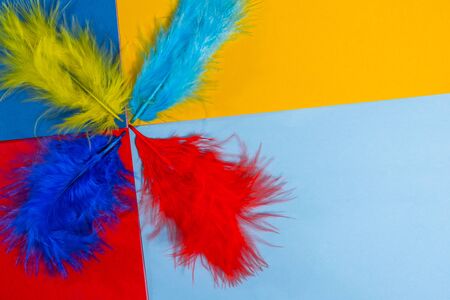 multi colored decorative feathers on a colored background . background of different feathers .の写真素材