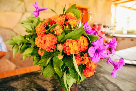 beautiful multicolor bouquet of exotic flowers from egyptの写真素材
