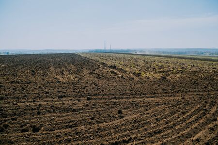Tractor plows a field in the spring accompanied by rooks tractor . far view . time to plow concept . selective focus .の写真素材