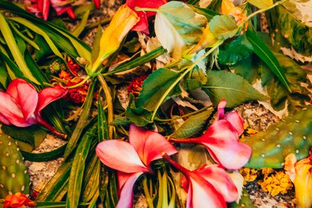 mix of different exotic flowers . setts for bouquets and perfumes .の写真素材