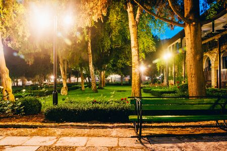 beautiful park with trees and benches  at nightの写真素材