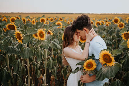 young couple kissing in a sunflower fieldの写真素材