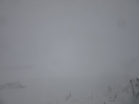 strong snowstormの写真素材