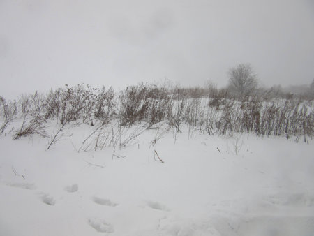 tracks and blizzardの写真素材