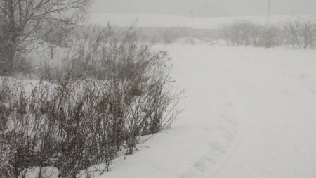 strong snowstorm wowの写真素材