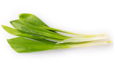 fresh ramson isolated on white backgroundの写真素材