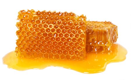 honeycomb isolated on white backgroundの写真素材