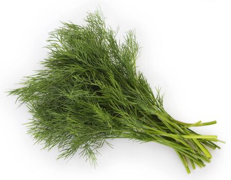fresh dill isolated on white backgroundの写真素材