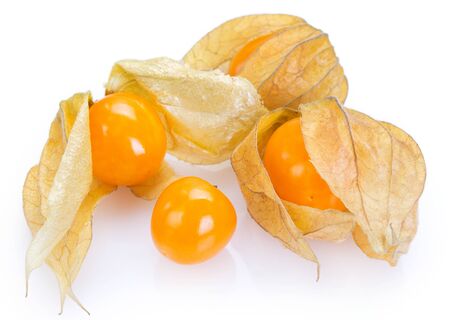 ripe physalis isolated on white backgroundの写真素材