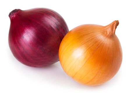 fresh onion isolated on white backgroundの写真素材