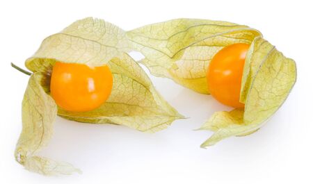 ripe physalis isolated on white backgroundの写真素材