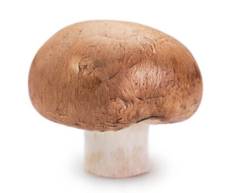 fresh mushroom isolated on white backgroundの写真素材
