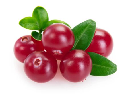 fresh cranberry isolated on white background closeupの写真素材