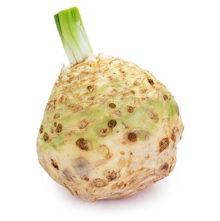 fresh celery root isolated on white background. raw celeriac.の写真素材