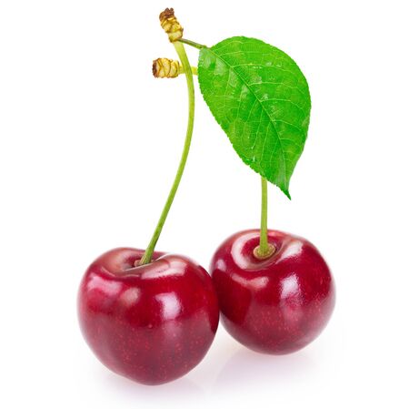 fresh cherry isolated on white background closeupの写真素材