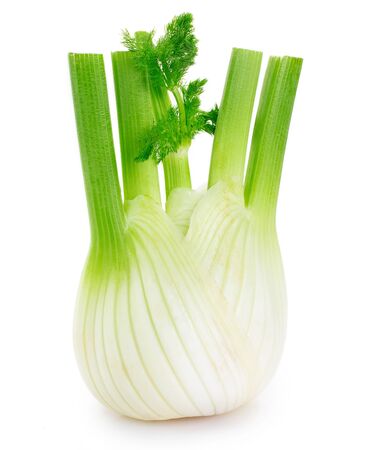 fresh fennel bulb isolated on white backgroundの写真素材
