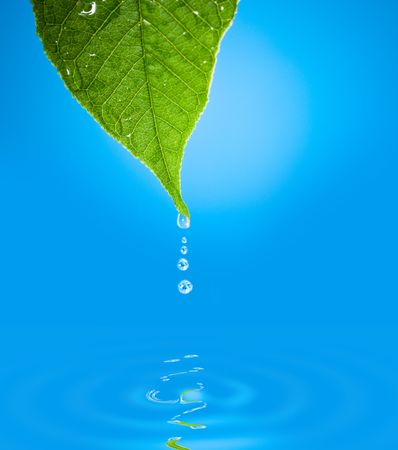 Green leaf with water droplet over water reflection

の写真素材