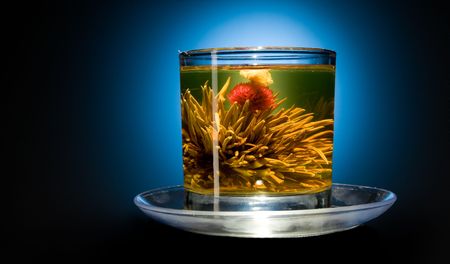  cup with blooming flower green tea on blue
 の写真素材
