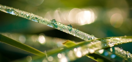 water drop shine の写真素材