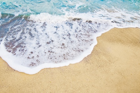 beach and tropical sea 