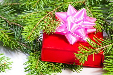 gift and green christmas tree 