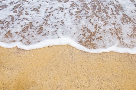 beach and tropical sea 