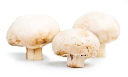 Champignon mushrooms on white background の写真素材