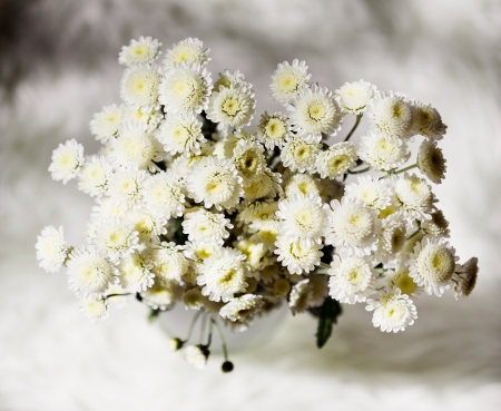 Bouquet of chrysanthemums の写真素材