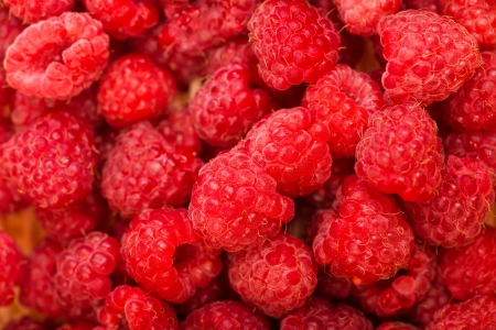 Raspberry fruit background 