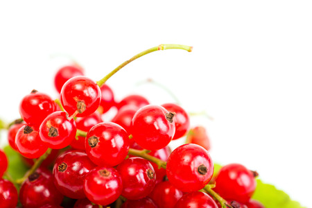 Red Currant on green leaves on white background 